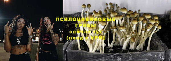 спайс Армянск