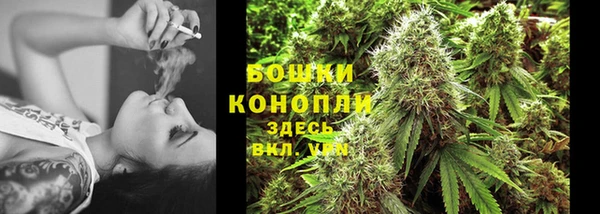 спайс Гусь-Хрустальный