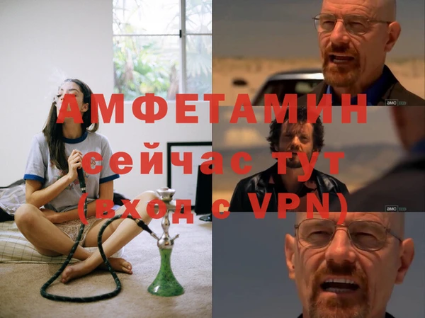 сатива Аркадак