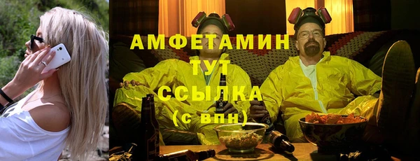 сатива Аркадак