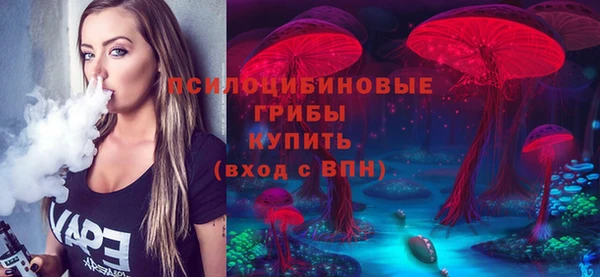 Альфа ПВП Арсеньев