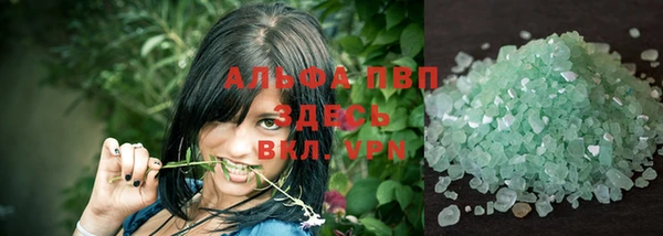 сатива Аркадак