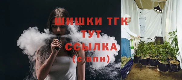 сатива Аркадак