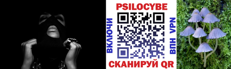 Псилоцибиновые грибы GOLDEN TEACHER  Гагарин 